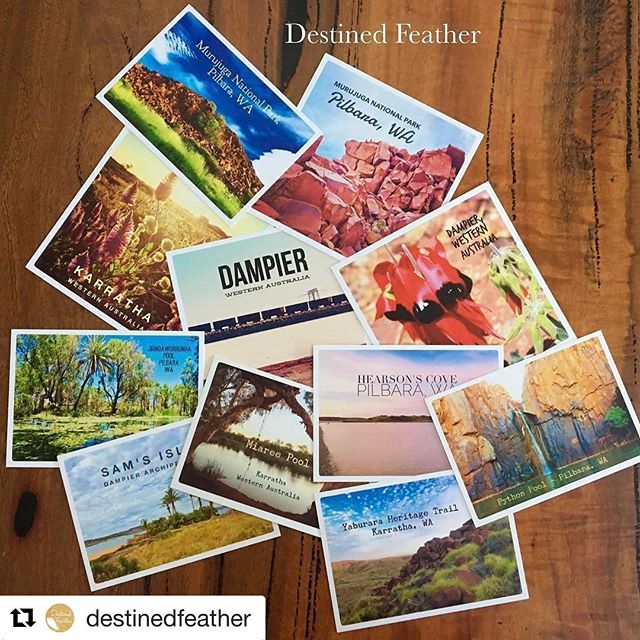 Coming soon to KVC! @destinedfeather