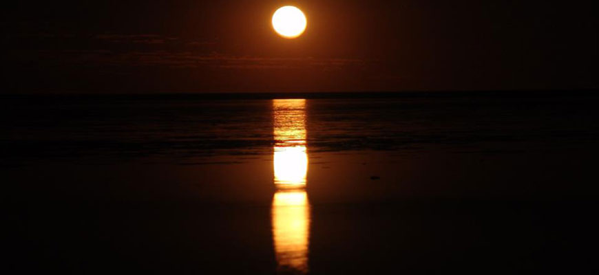 Hearsons Cove Staircase to the Moon