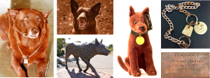 Red Dog