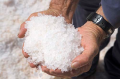 Dampier Salt Limited