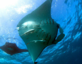 Ningaloo Blue Charters