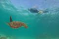 Kings Ningaloo Reef Tours