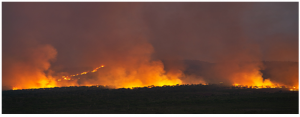 Bushfire in the Pilbara