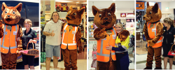 Red Dog Mascot
