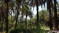 Ngurrangga Tours