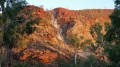 Ngurrangga Tours